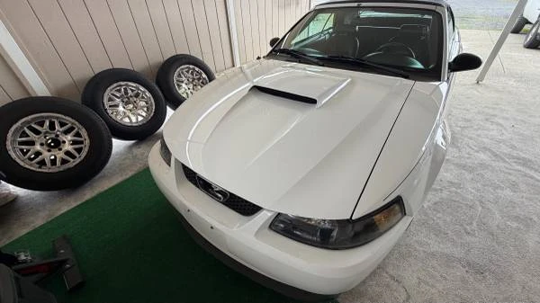 2004 Ford SN95 Mustang - Image 3 of 3