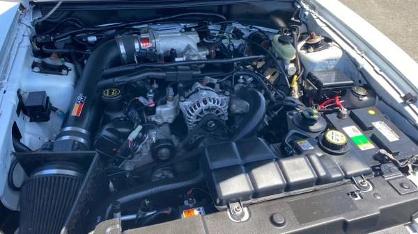 2004 Ford SN95 Mustang - Image 14 of 21