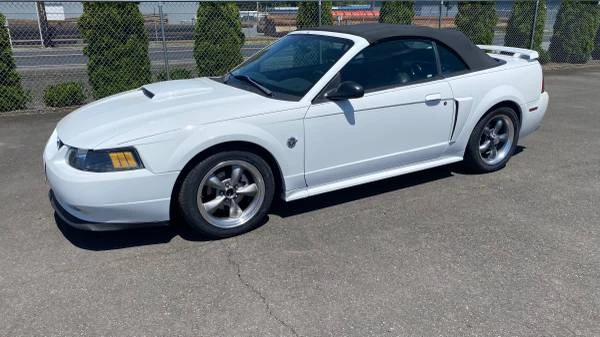 2004 Ford SN95 Mustang - Image 2 of 21