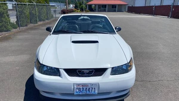 2004 Ford SN95 Mustang - Image 16 of 21