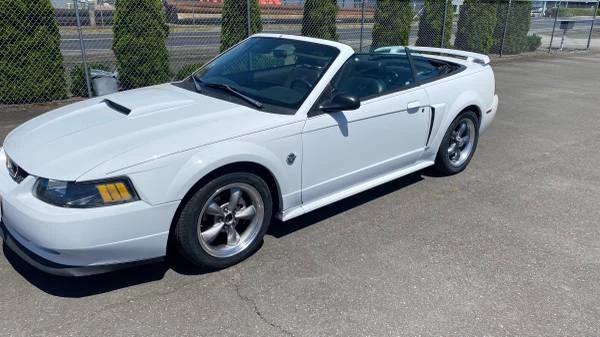 2004 Ford SN95 Mustang - Image 17 of 21