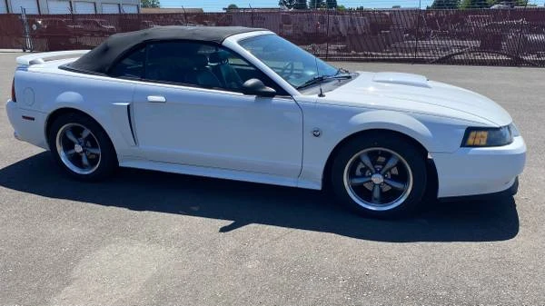 2004 Ford SN95 Mustang - Image 6 of 21