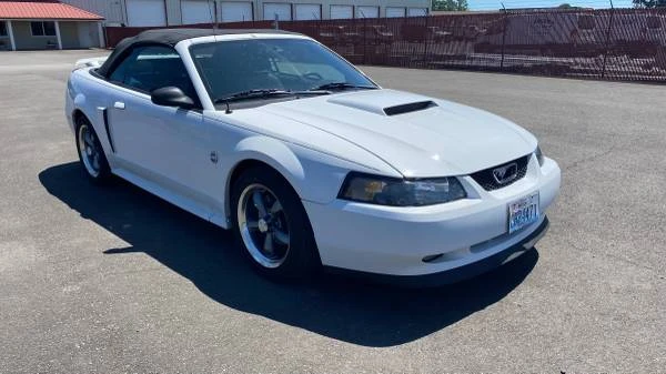 2004 Ford SN95 Mustang - Image 7 of 21