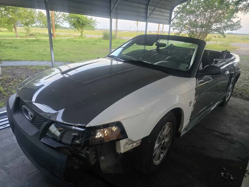 2004 Ford SN95 Mustang - Image 4 of 5