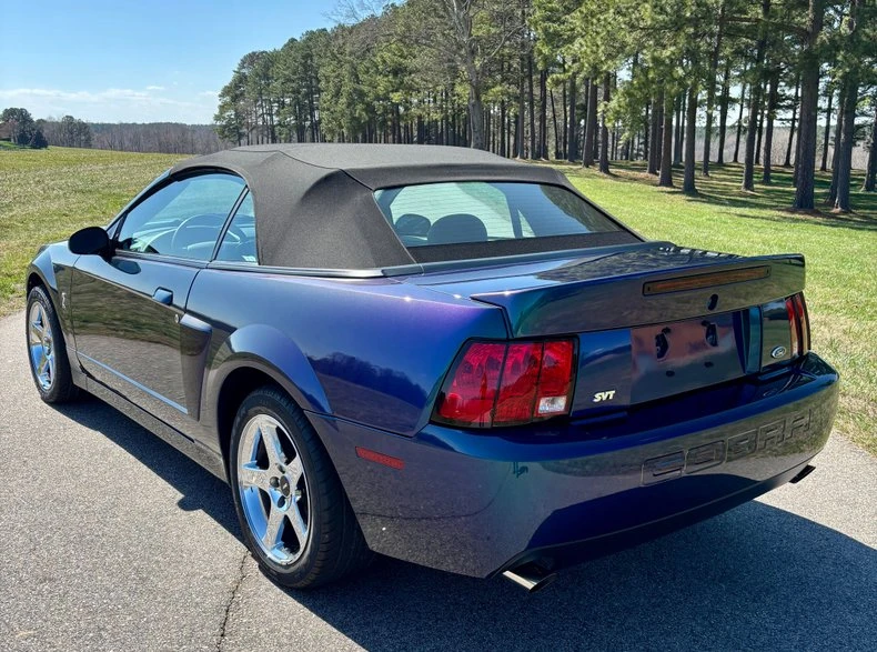 2004 Ford SN95 Mustang Cobra - Image 11 of 31