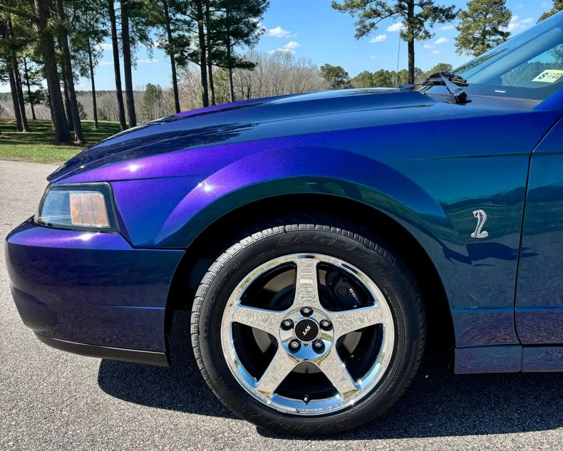 2004 Ford SN95 Mustang Cobra - Image 14 of 31