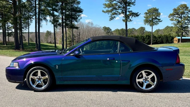 2004 Ford SN95 Mustang Cobra - Image 4 of 31