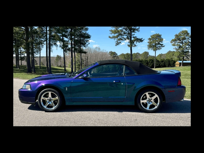 2004 Ford SN95 Mustang Cobra - Image 3 of 31