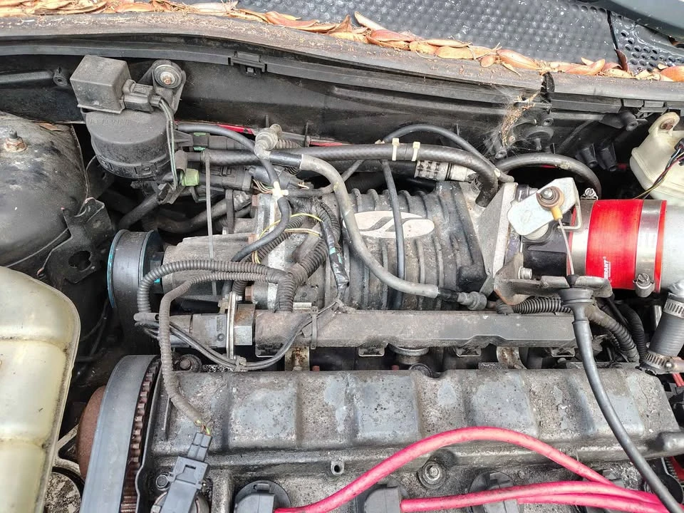 2004 Ford Focus 1st Gen - Image 5 of 10