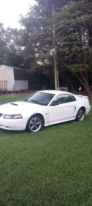 2004 Ford GT 1st Gen - Image 2 of 5