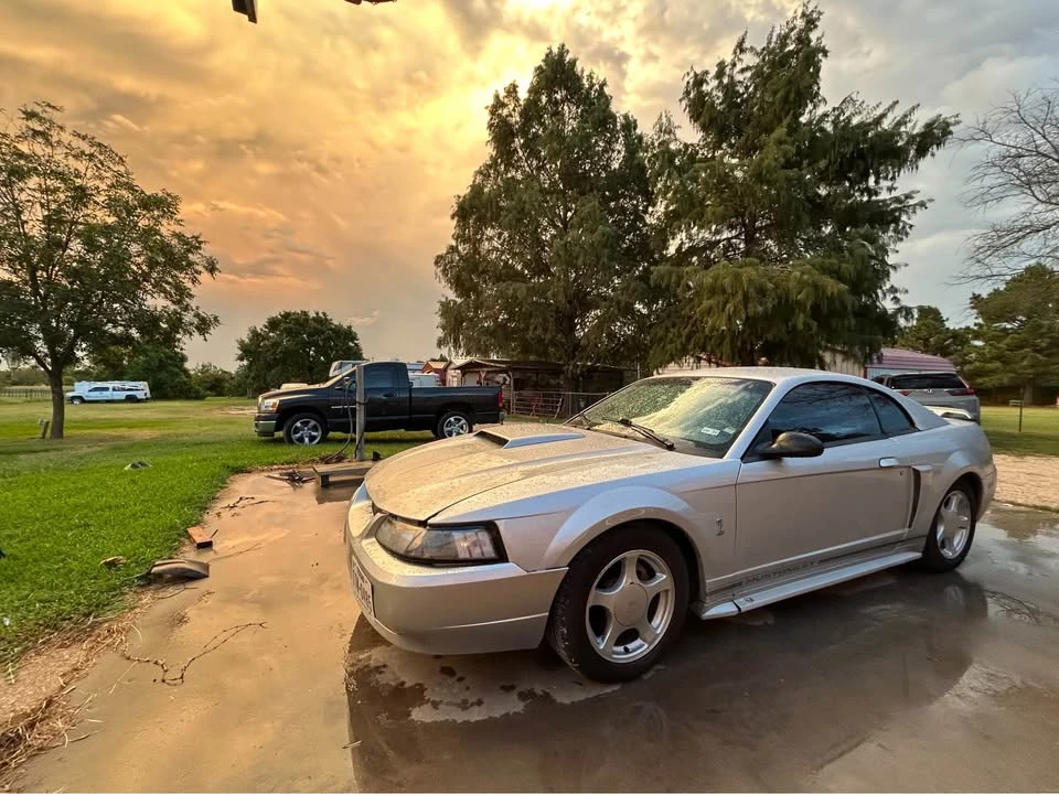 2004 Ford SN95 Mustang - Image 2 of 3