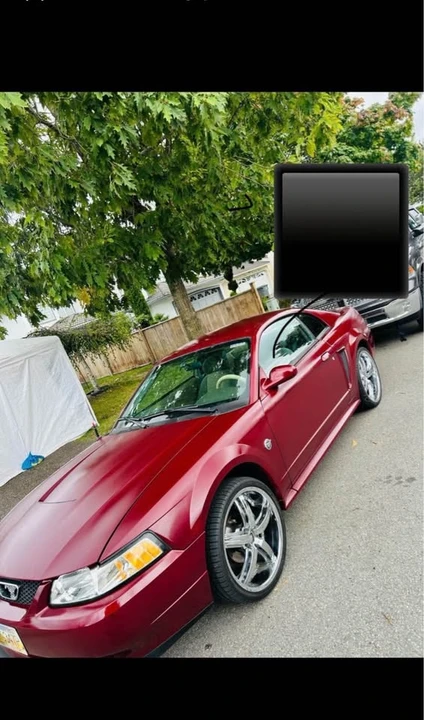 2004 Ford SN95 Mustang - Image 2 of 10