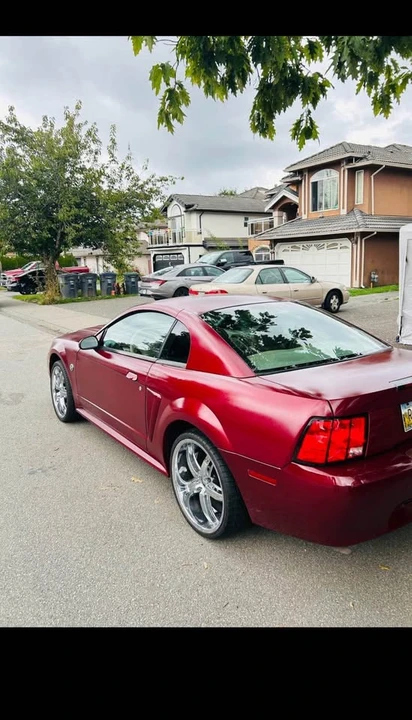 2004 Ford SN95 Mustang - Image 3 of 10