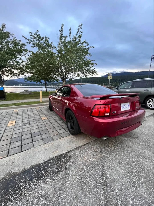 2004 Ford SN95 Mustang - Image 4 of 20