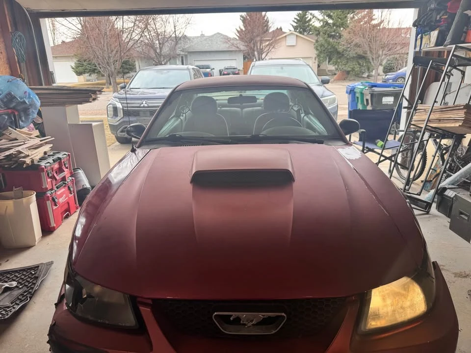 2004 Ford SN95 Mustang - Image 15 of 20