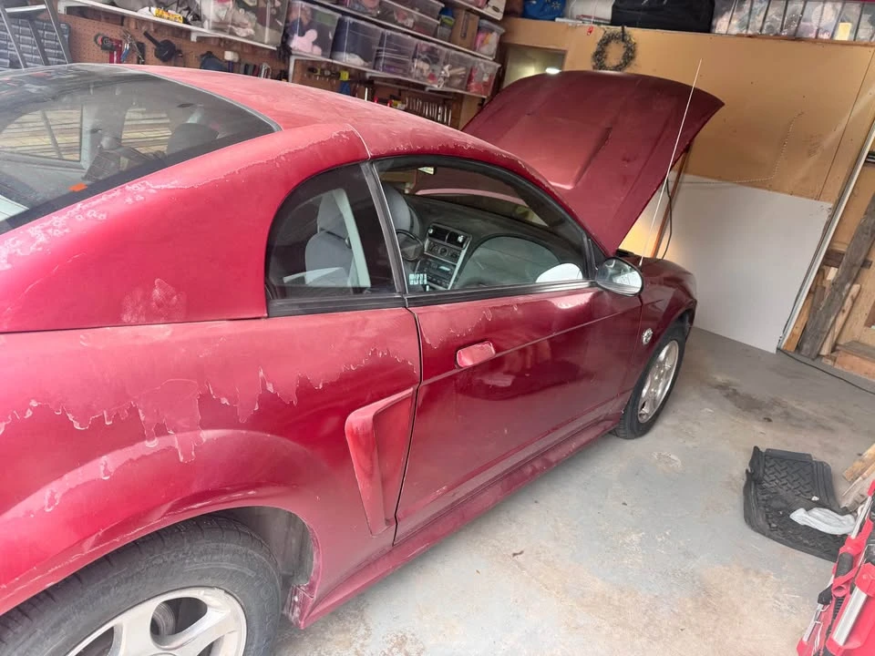 2004 Ford SN95 Mustang - Image 9 of 20
