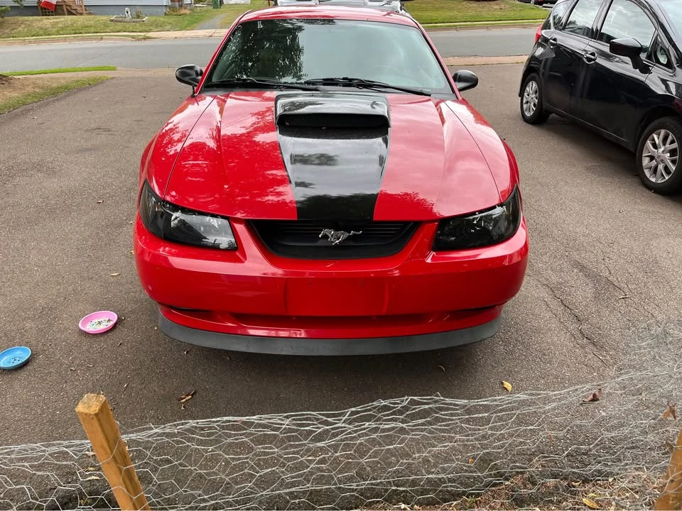 2004 Ford SN95 Mustang - Image 3 of 11