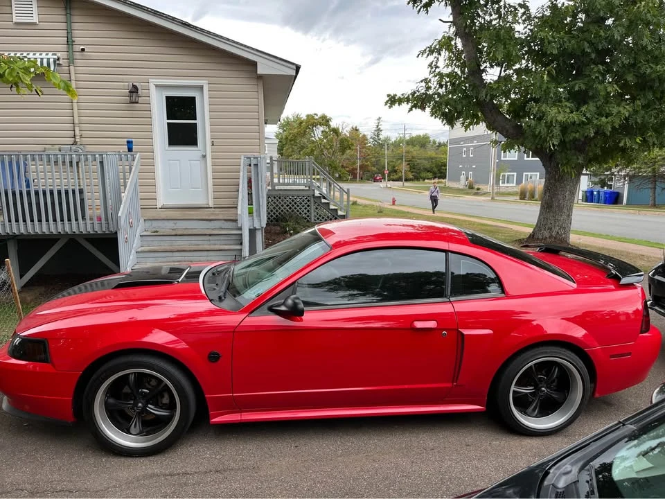 2004 Ford SN95 Mustang - Image 2 of 11