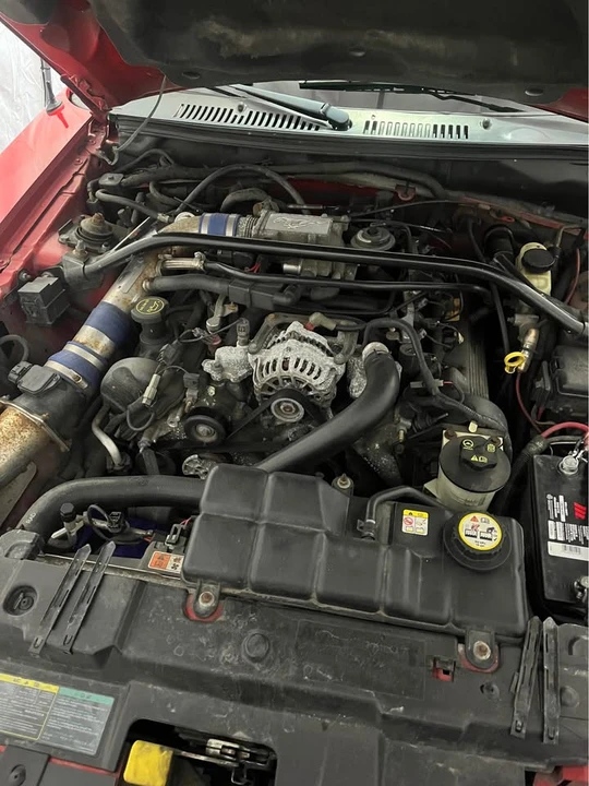 2004 Ford SN95 Mustang - Image 11 of 11