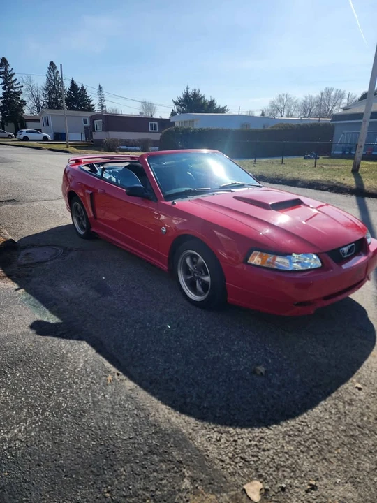 2004 Ford SN95 Mustang - Image 3 of 15
