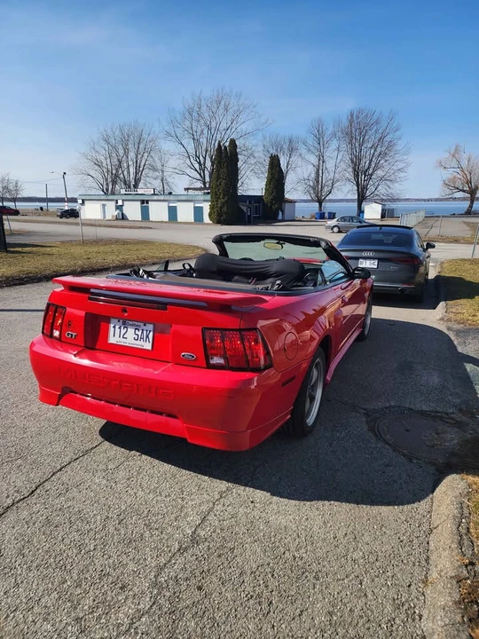 2004 Ford SN95 Mustang - Image 2 of 15