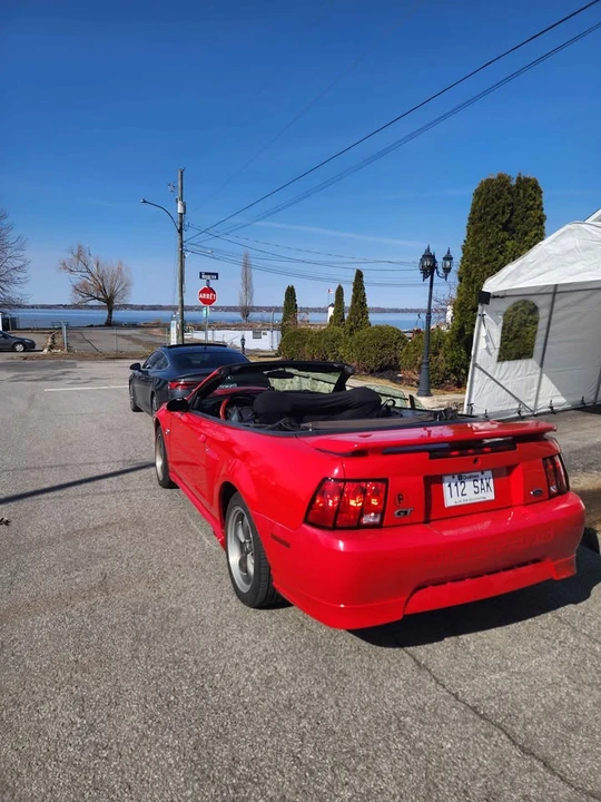 2004 Ford SN95 Mustang - Image 4 of 15