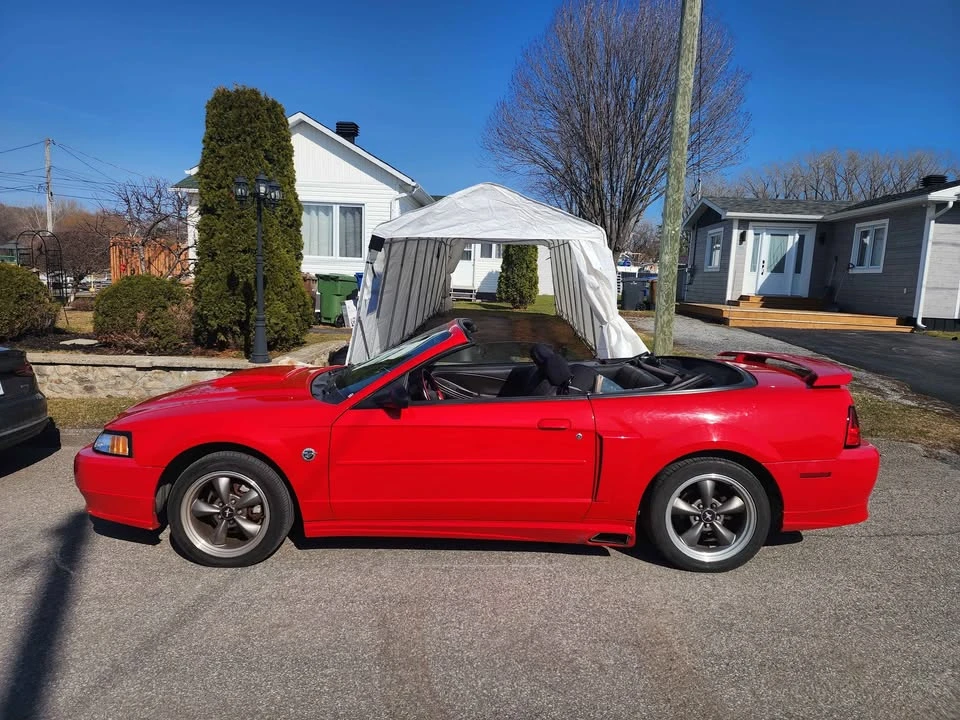 2004 Ford SN95 Mustang - Image 5 of 15