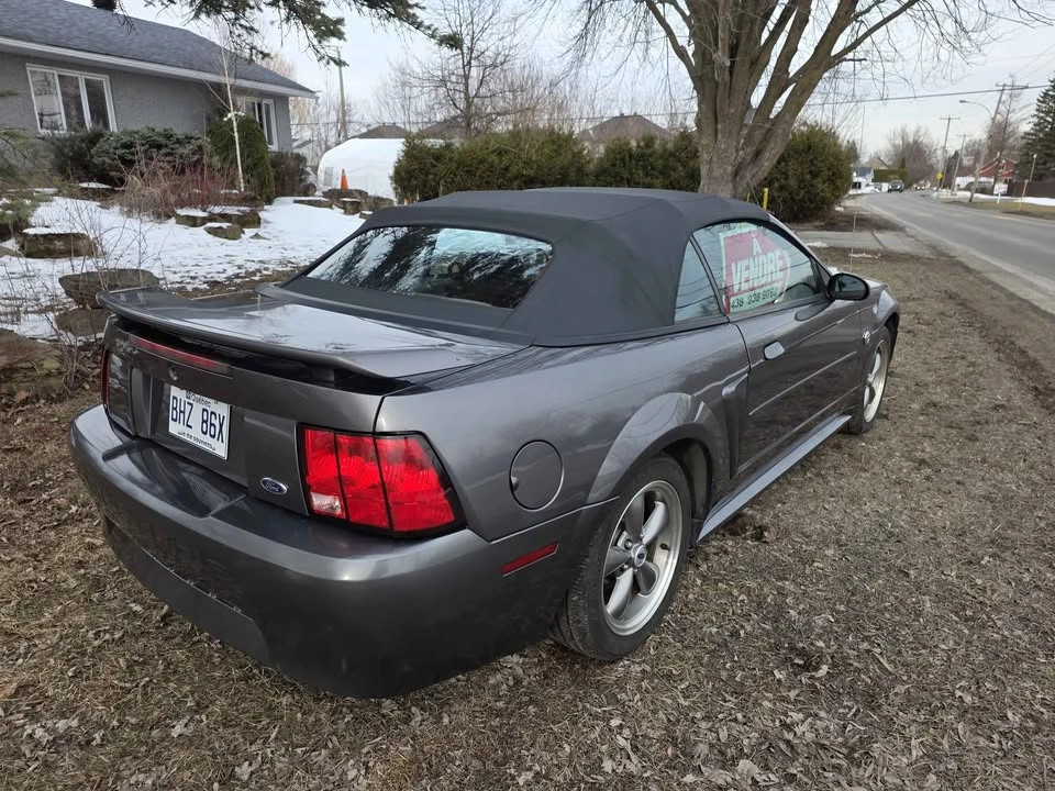 2004 Ford SN95 Mustang - Image 2 of 11