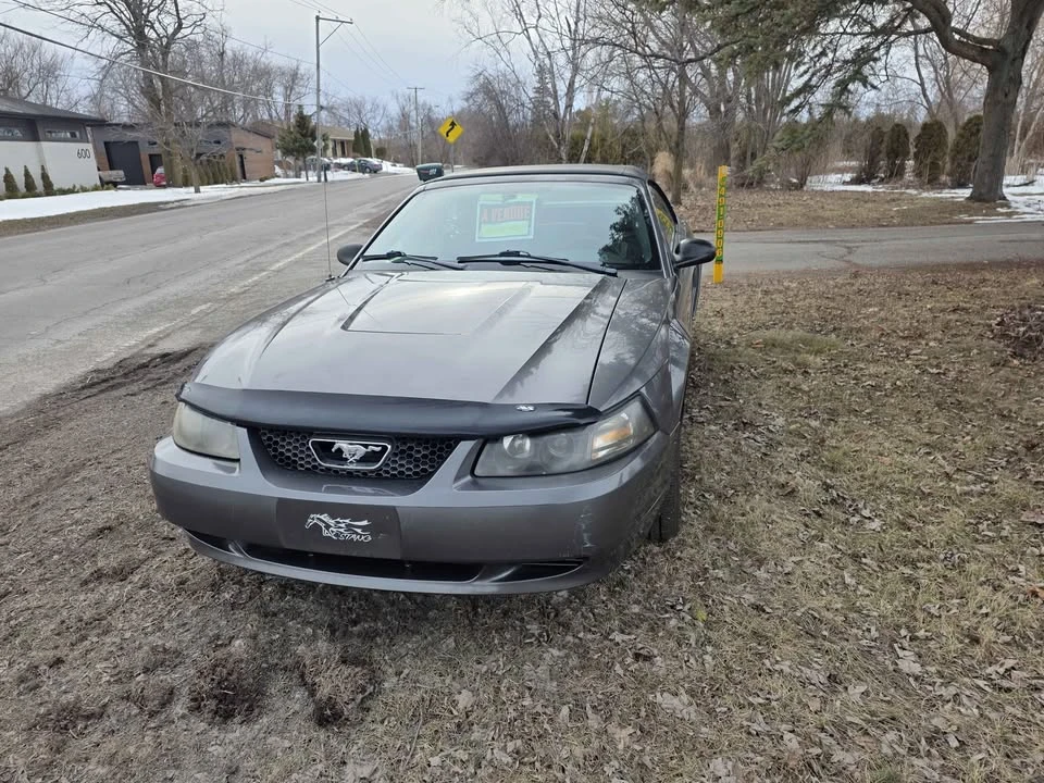 2004 Ford SN95 Mustang - Image 3 of 11
