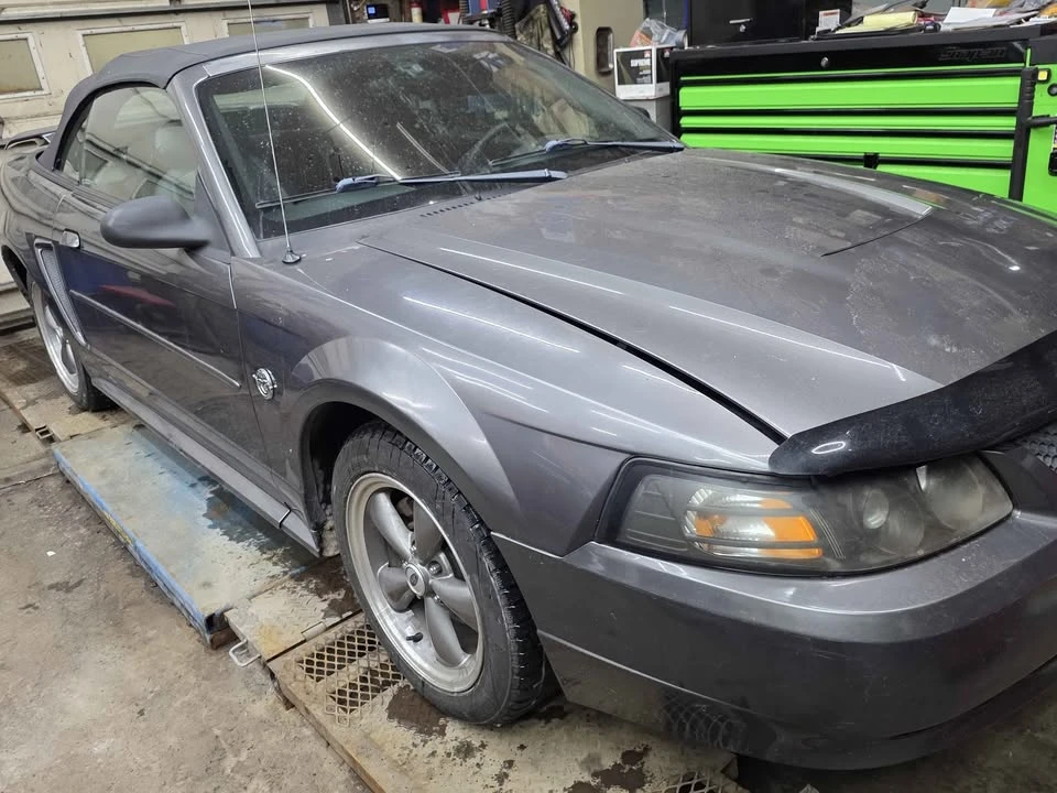 2004 Ford SN95 Mustang - Image 11 of 11