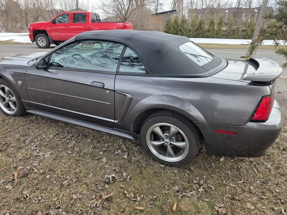 2004 Ford SN95 Mustang - Image 4 of 11
