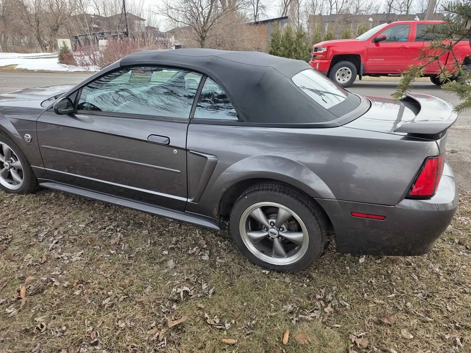 2004 Ford SN95 Mustang - Image 5 of 11