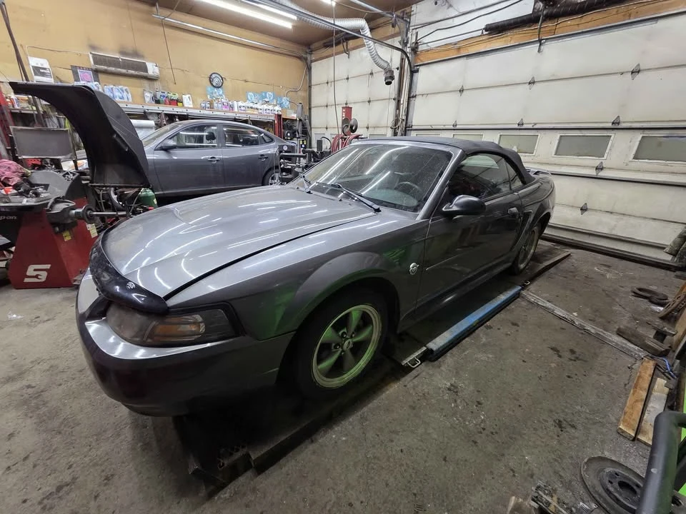 2004 Ford SN95 Mustang - Image 10 of 11