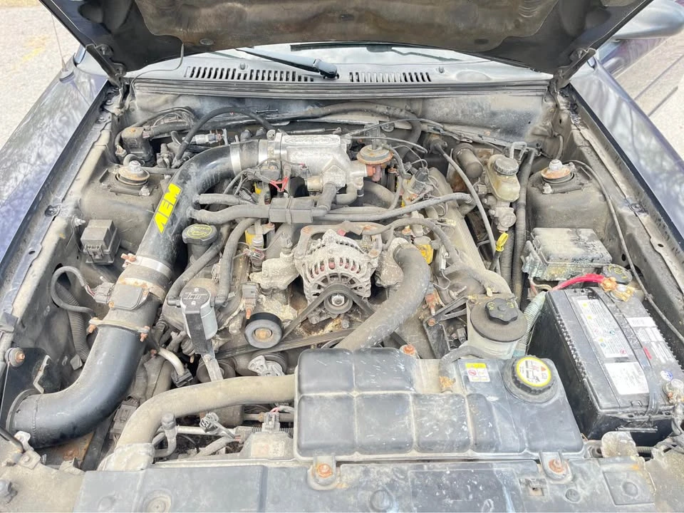 2004 Ford SN95 Mustang - Image 7 of 8