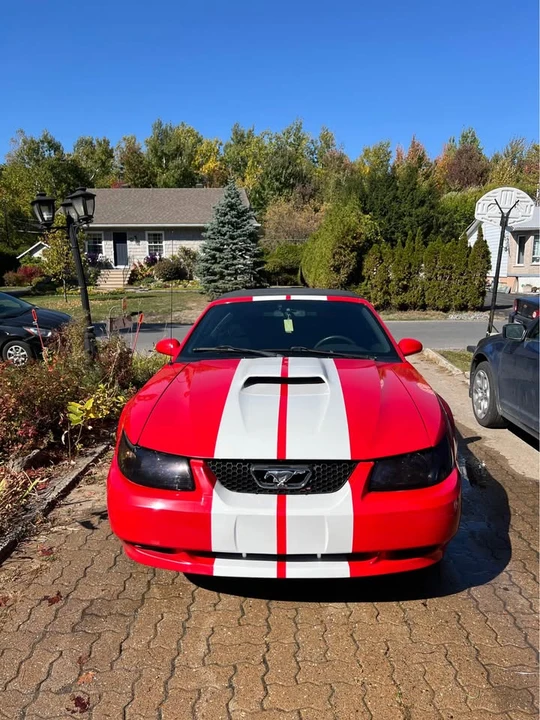 2004 Ford SN95 Mustang - Image 2 of 5
