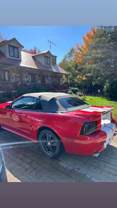 2004 Ford SN95 Mustang - Image 4 of 5