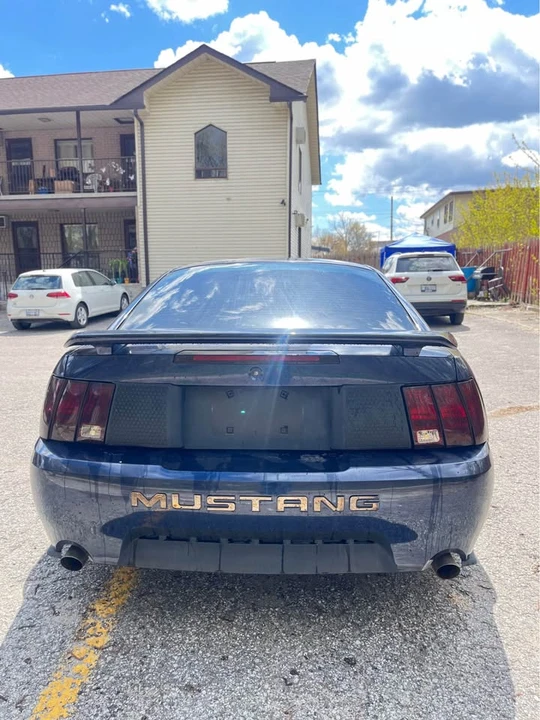 2004 Ford SN95 Mustang - Image 2 of 8
