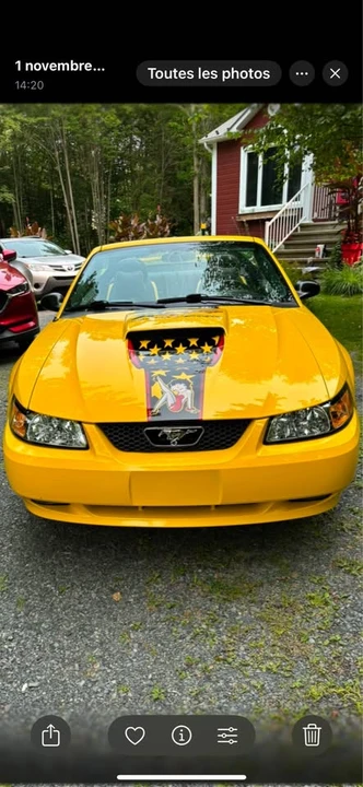 2004 Ford SN95 Mustang - Image 2 of 14