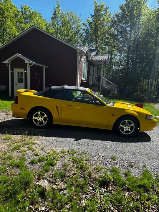 2004 Ford SN95 Mustang - Image 3 of 14