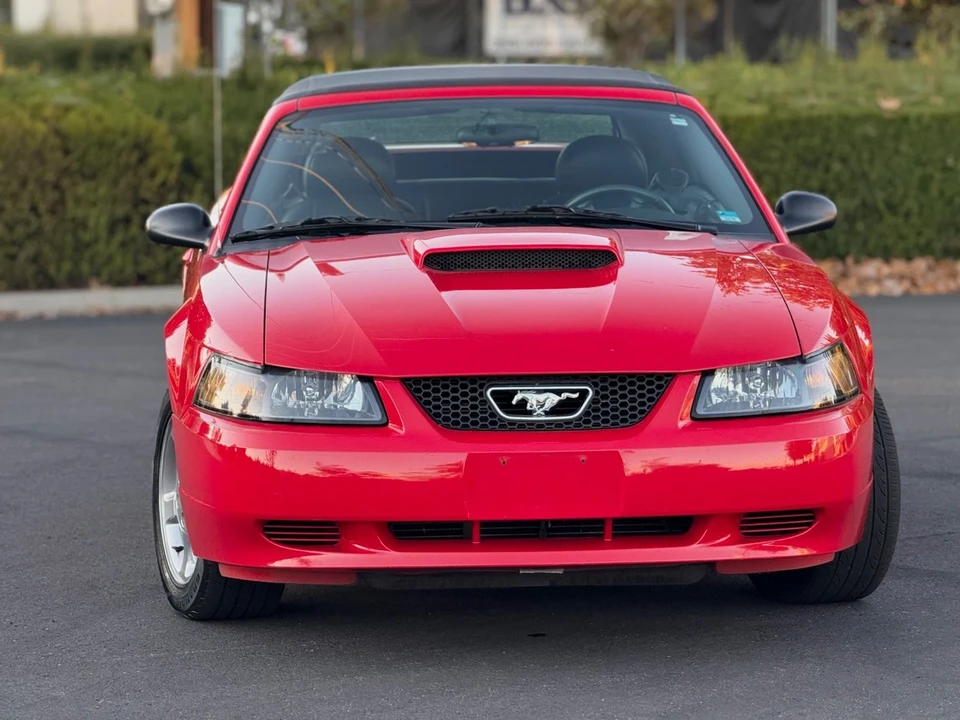 2004 Ford SN95 Mustang - Image 7 of 21