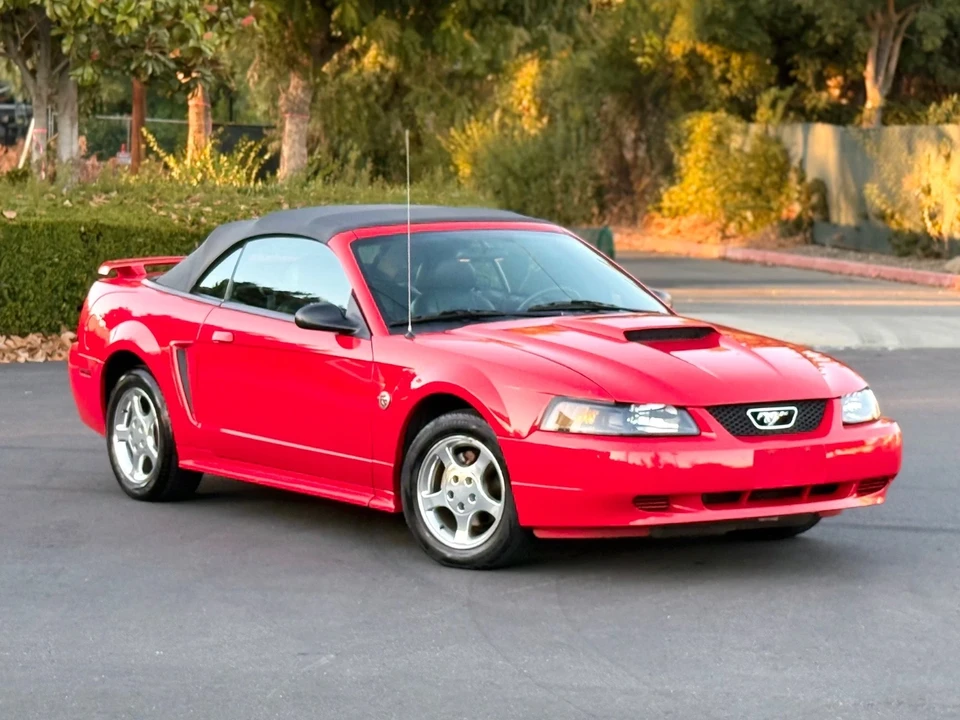 2004 Ford SN95 Mustang - Image 5 of 21