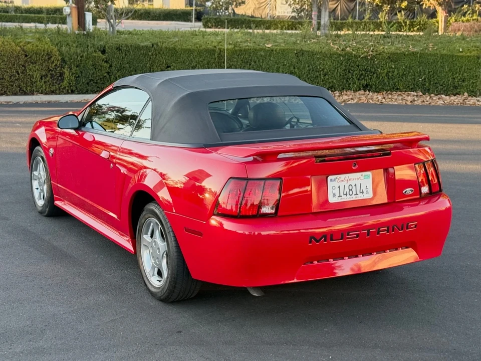 2004 Ford SN95 Mustang - Image 13 of 21