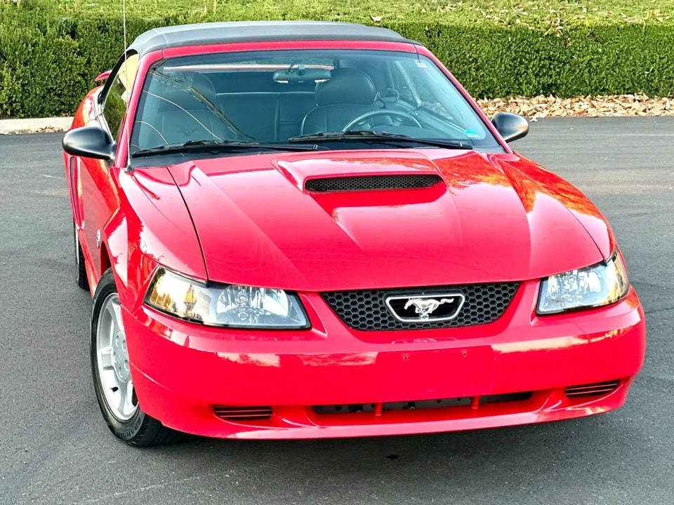 2004 Ford SN95 Mustang - Image 3 of 21
