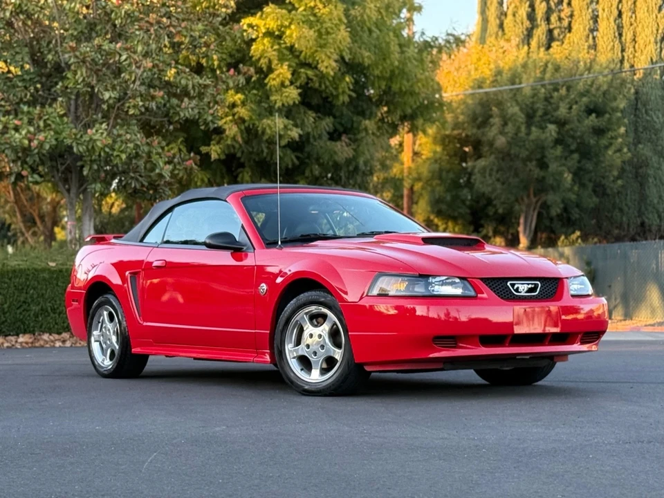2004 Ford SN95 Mustang - Image 8 of 21