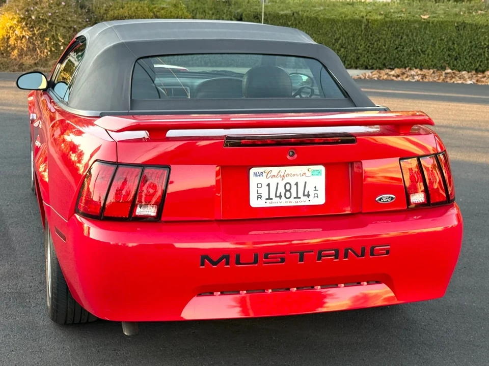 2004 Ford SN95 Mustang - Image 12 of 21