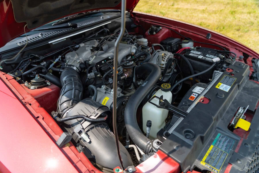 2004 Ford SN95 Mustang - Image 14 of 15