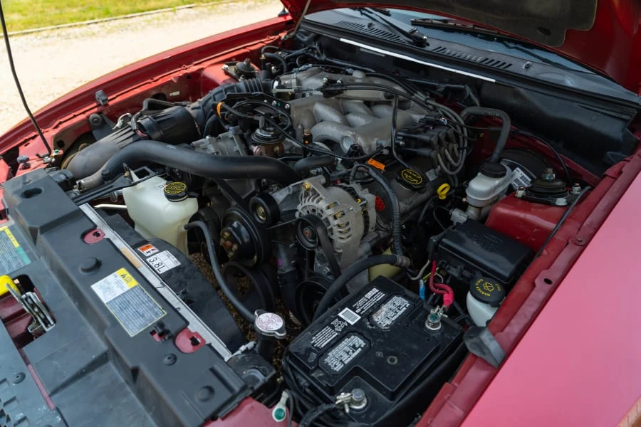 2004 Ford SN95 Mustang - Image 15 of 15