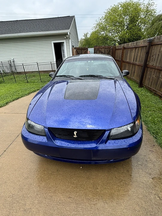 2004 Ford SN95 Mustang - Image 2 of 7