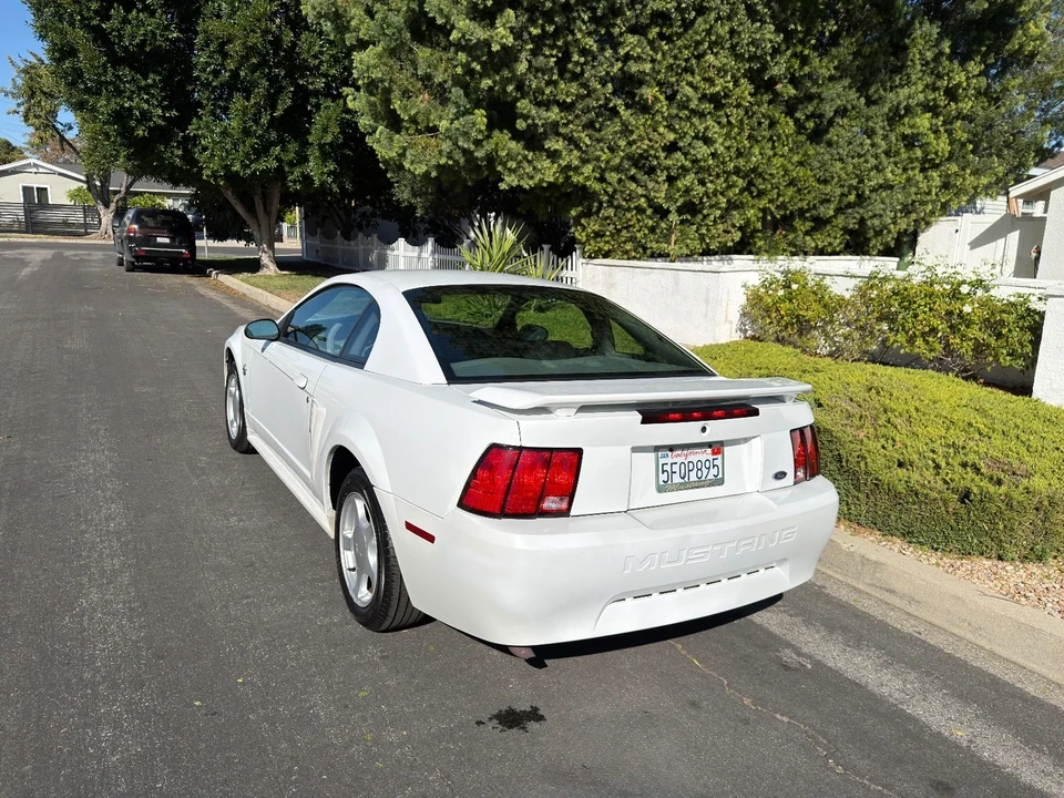2004 Ford SN95 Mustang - Image 8 of 21