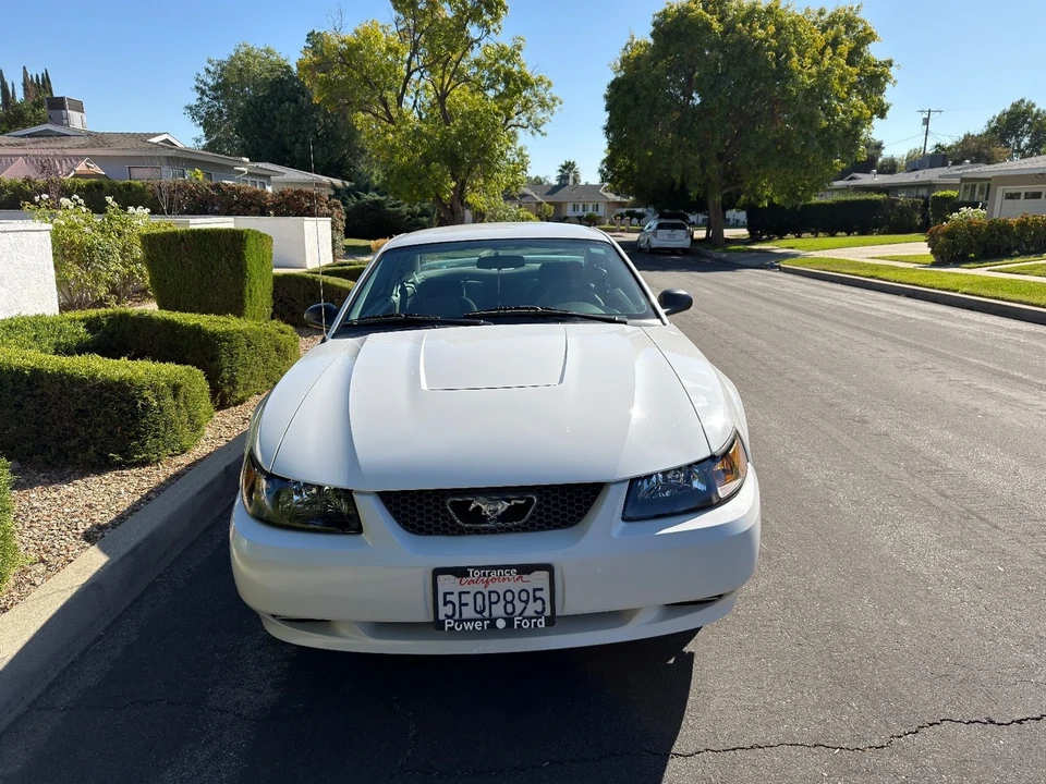 2004 Ford SN95 Mustang - Image 3 of 21